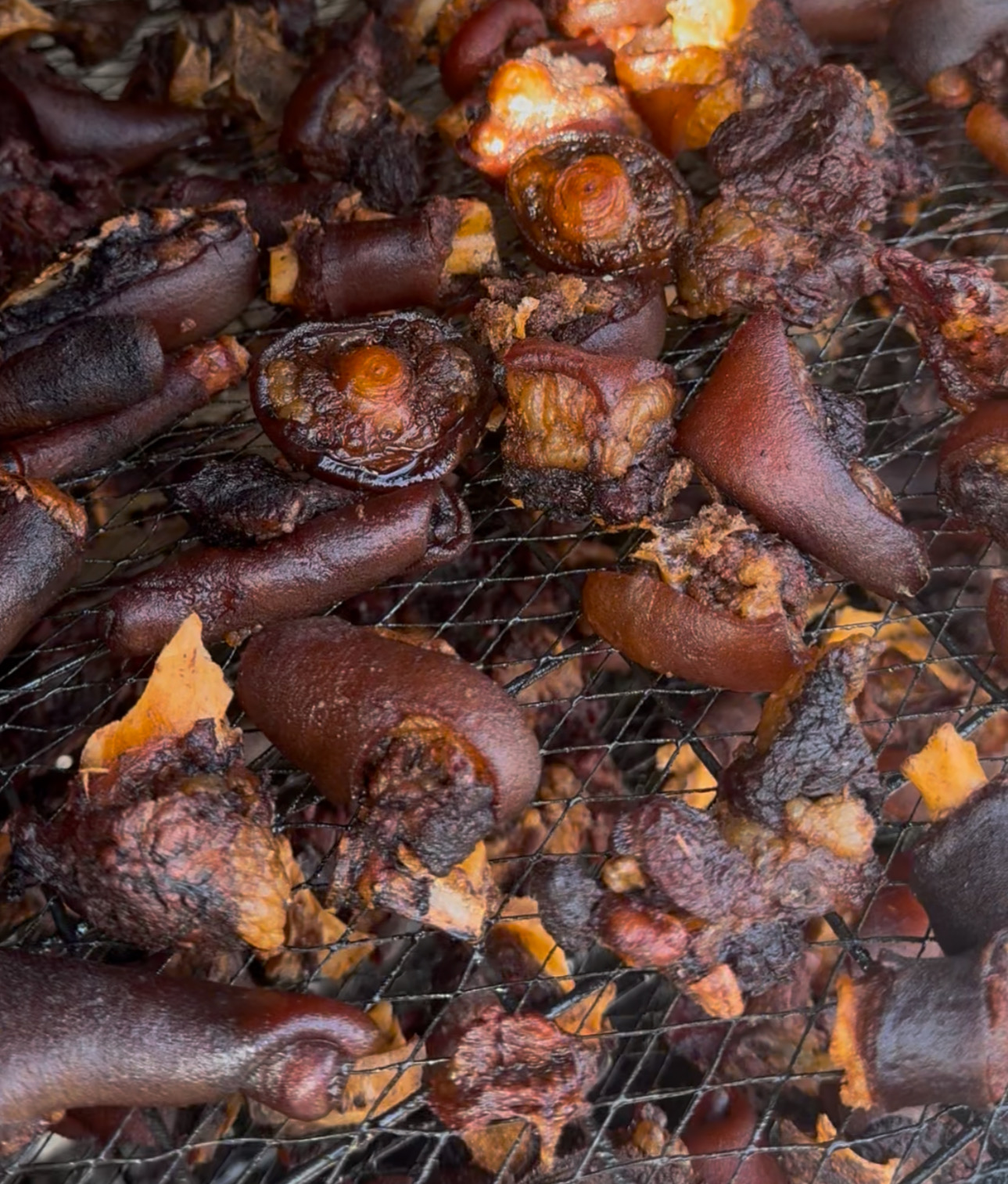 created by photogrid